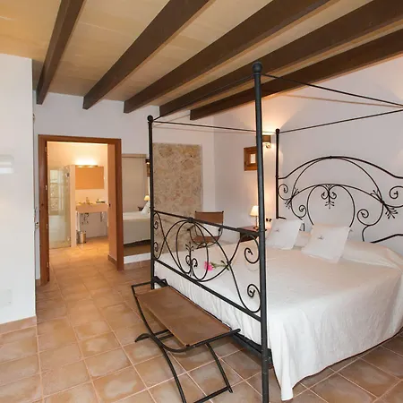 Son Ametler 4*